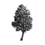 Bird cherry silhouette