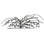 Dog rose silhouette