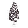 Downy birch silhouette