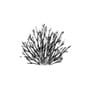 Grey willow silhouette