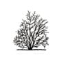 Guelder rose silhouette