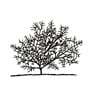 Spindle silhouette