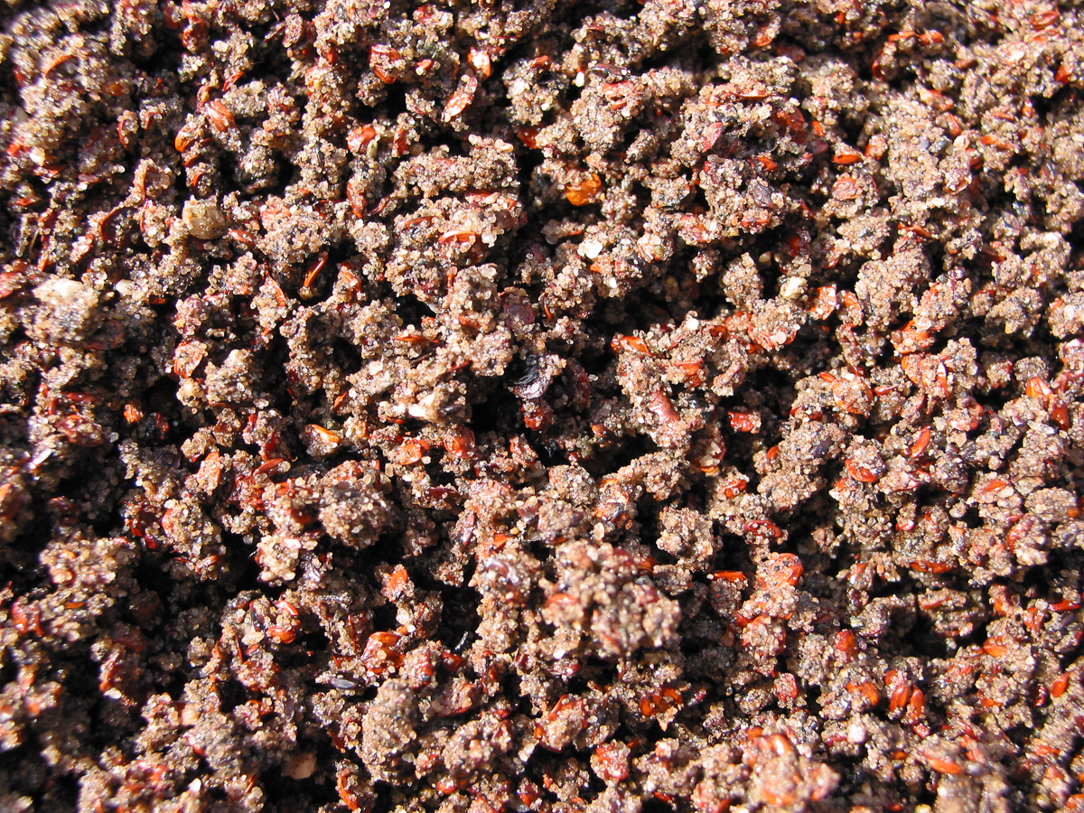 Pretreatment