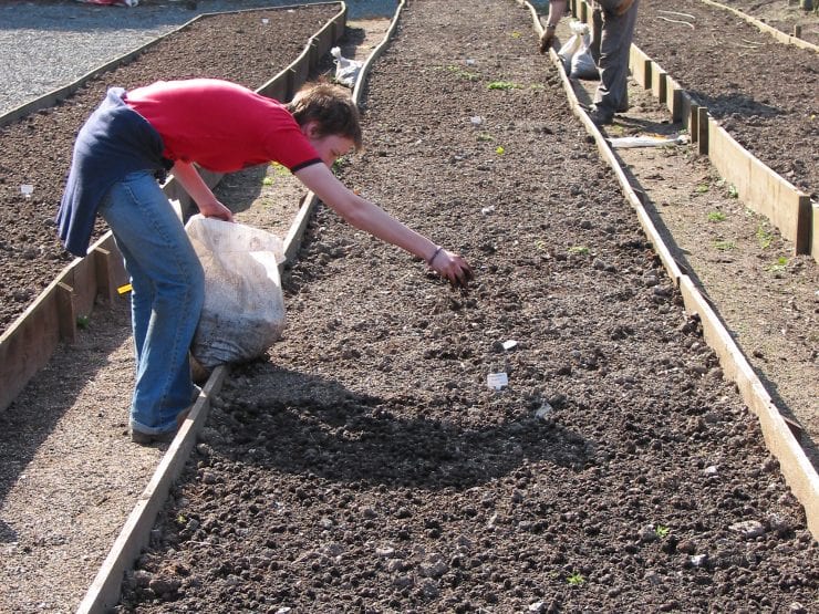 Broadcasting seed onto a seedbed
