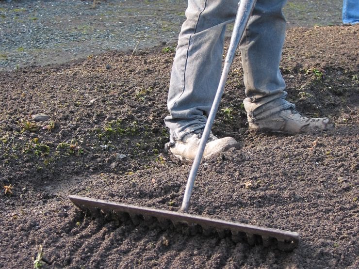 Raking soil