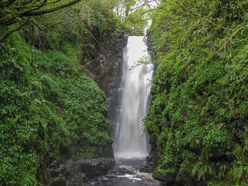 A hanging woodland with waterfall